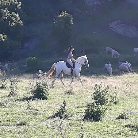 Quinta Da Torre - Casa rural