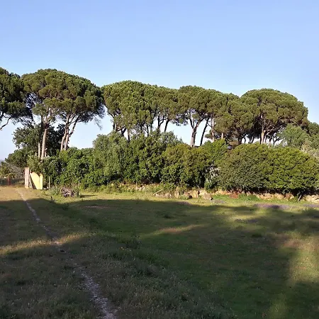 Landsted Quinta Da Torre - Óbidos