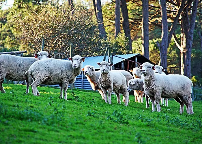 Quinta Da Torre - Landsted *