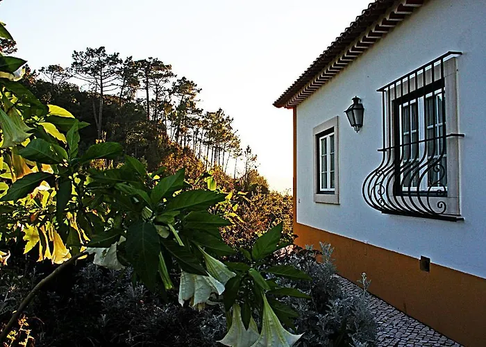 Landsted Quinta Da Torre - Óbidos