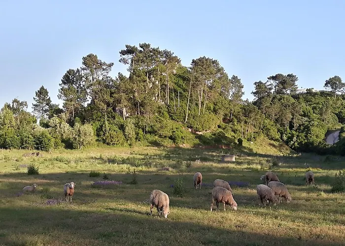 Quinta Da Torre - Óbidos