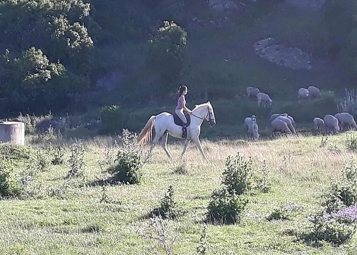 Quinta Da Torre - Landsted