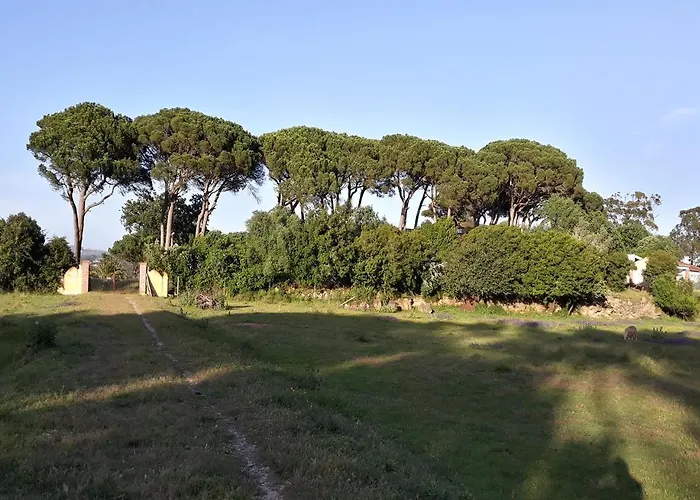 Landsted Quinta Da Torre - Óbidos